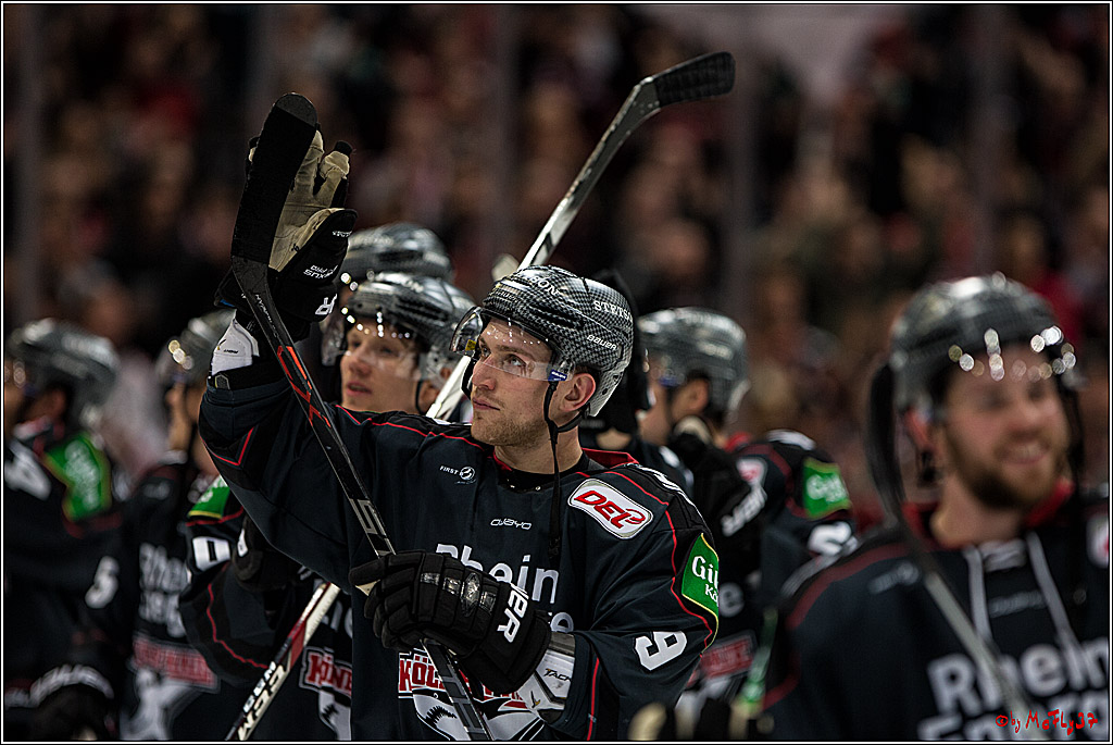 DEL, Koelner Haie - Augsburger Panther, 13.01.2017